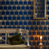 Barneby Gates Marrakech Palm - Midnight Blue Wallpaper