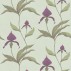 Cole and Son Orchid Wallpaper