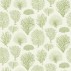 Cole and Son Seafern Wallpaper