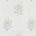 Sanderson Protea Flower Wallpaper