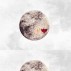 Coordonne Full Moon Wallpaper