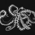 Coordonne Octopus X-Ray Wallpaper