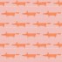 Scion Midi Fox Wallpaper