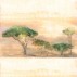 Coordonne Serengueti Wallpaper