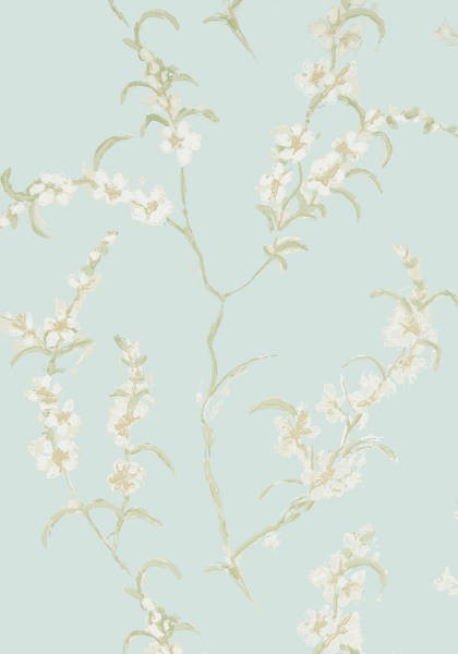 Anna French Japonica Wallpaper