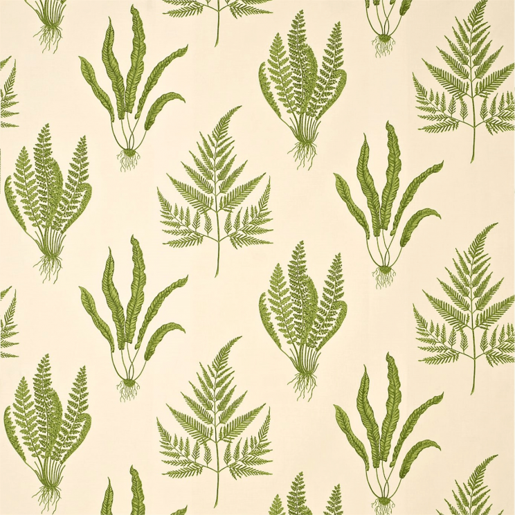 Curtains Sanderson Woodland Ferns Fabric DAPGWO202