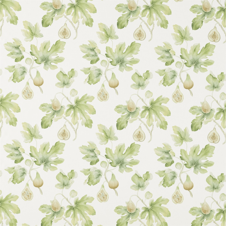 Sanderson Fig Harvest Garden Green Fabric