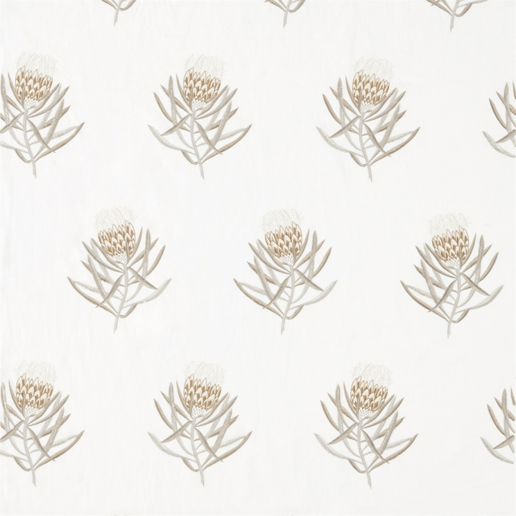 Sanderson Protea Flower Gold Fabric