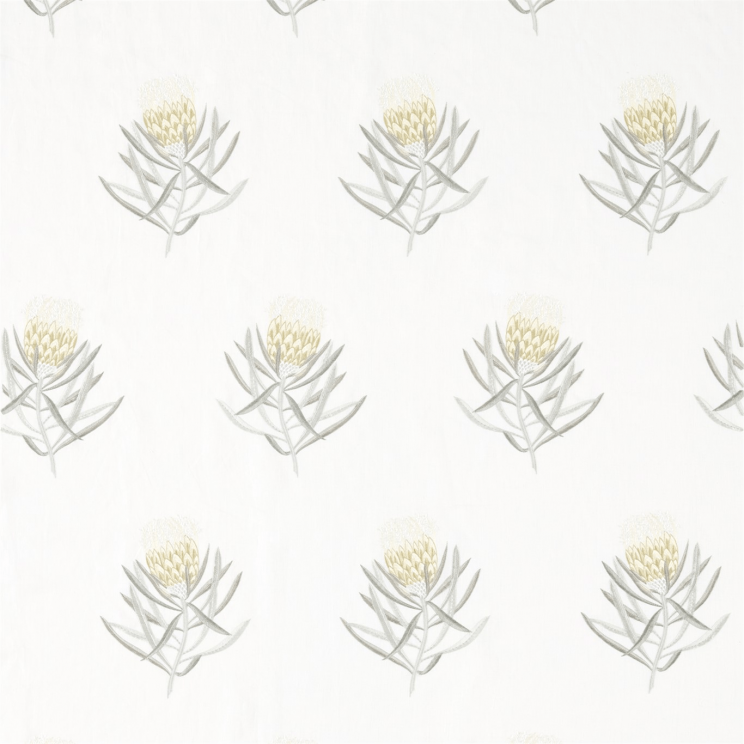 Sanderson Protea Flower Daffodil/Natural Fabric