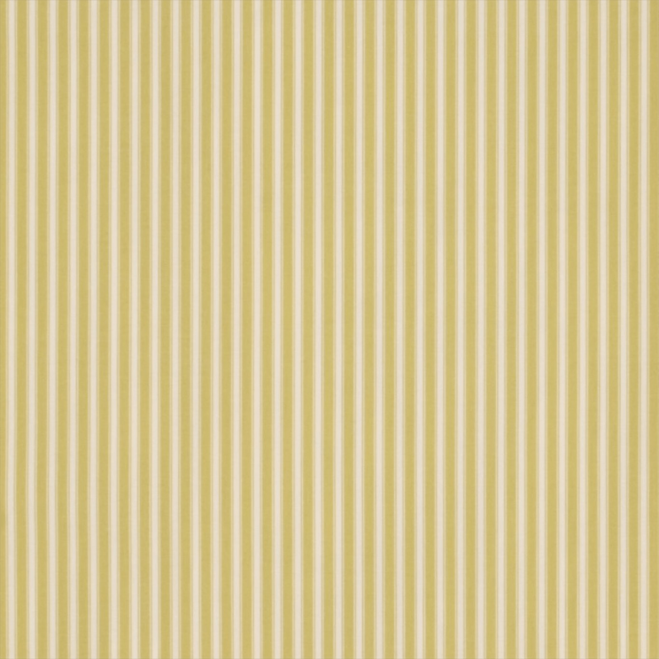 Curtains Sanderson New Tiger Stripe Fabric DCAVTS201