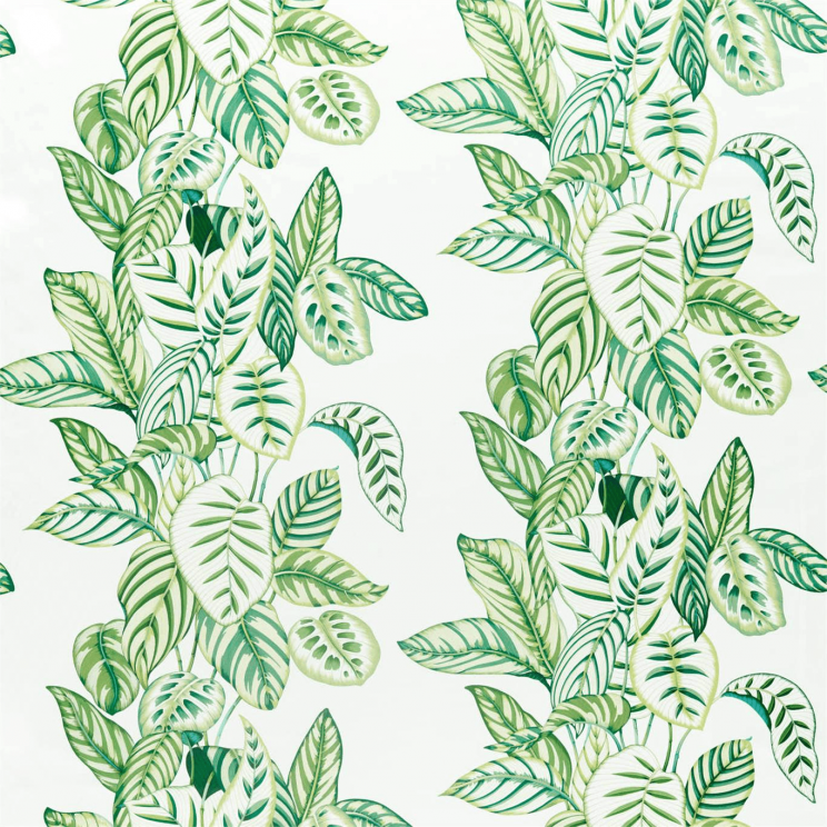 Curtains Sanderson Calathea Botanical Green Fabric 226575