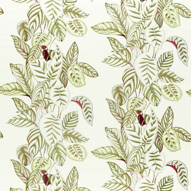 Curtains Sanderson Calathea Olive Fabric 226576