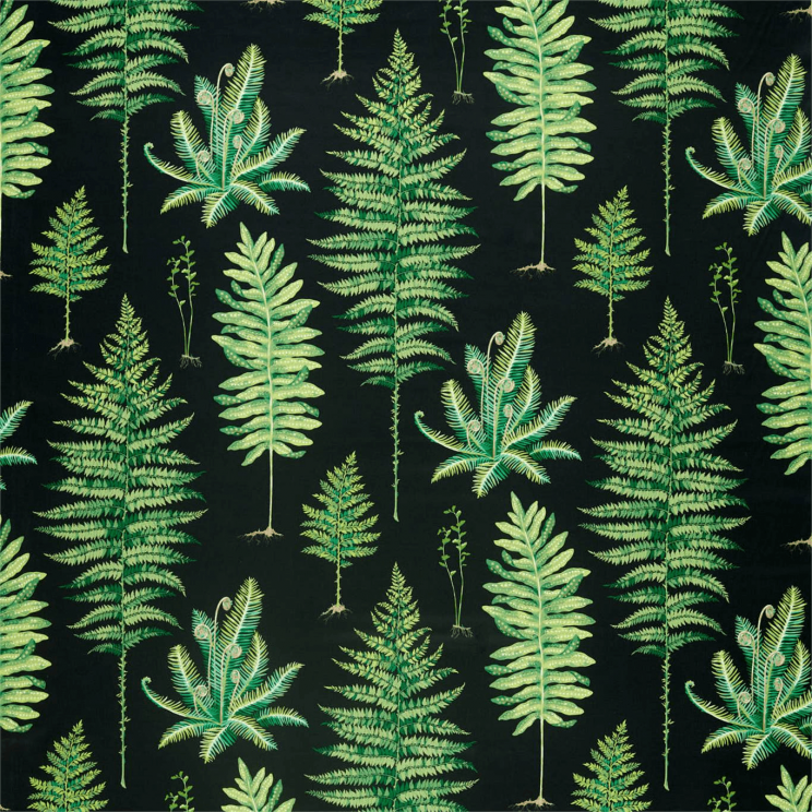 Curtains Sanderson Fernery Botanical Green/Charcoal Fabric 226577