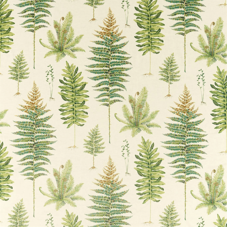 Curtains Sanderson Fernery Olive Fabric 226578