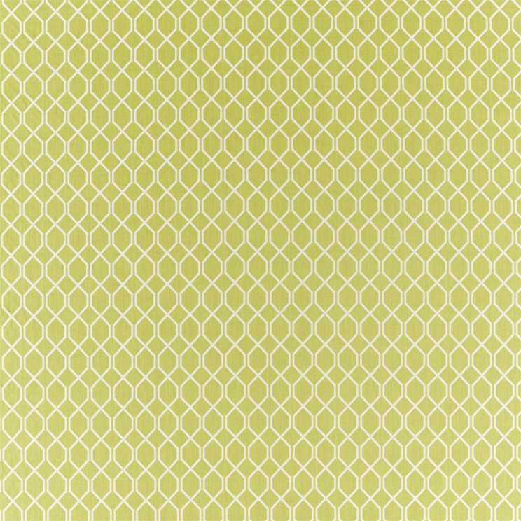 Sanderson Botanic Trellis Lime Fabric