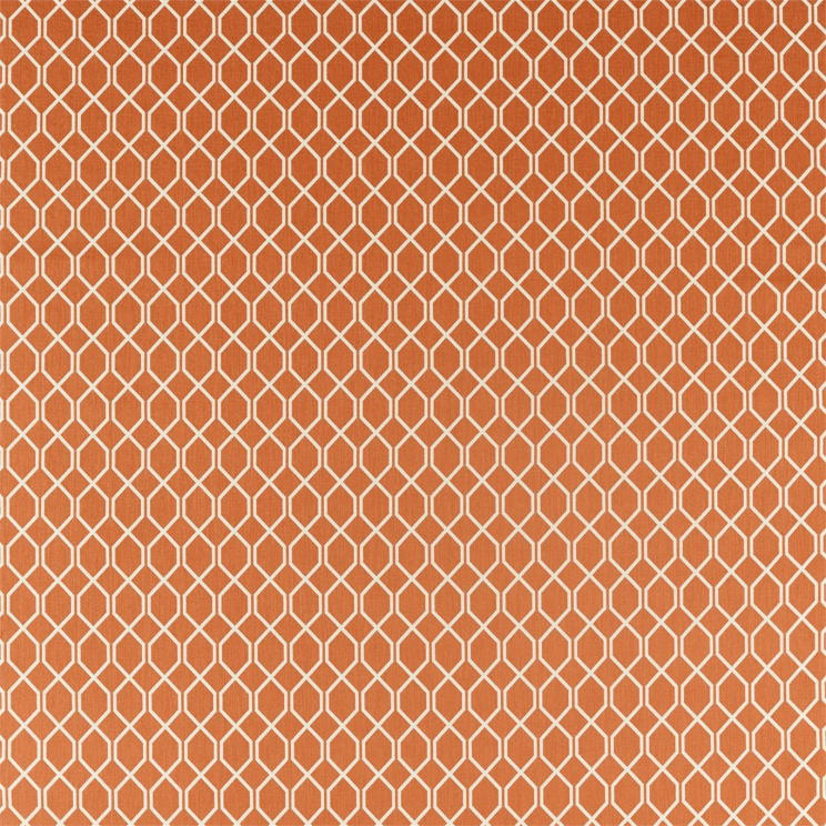 Curtains Sanderson Botanic Trellis Papaya Fabric 236791