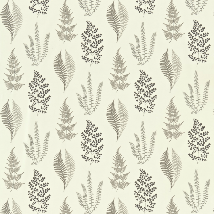 Sanderson Angel Ferns Charcoal Fabric