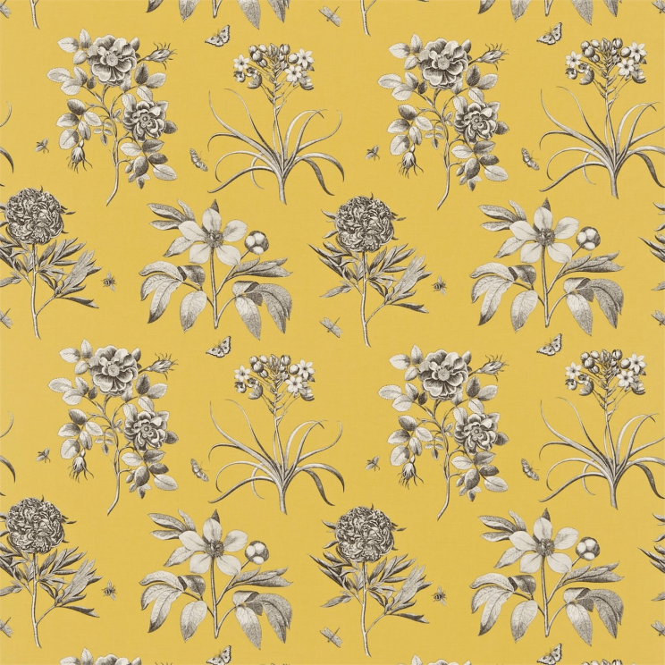Sanderson Etchings & Roses Empire Yellow Fabric