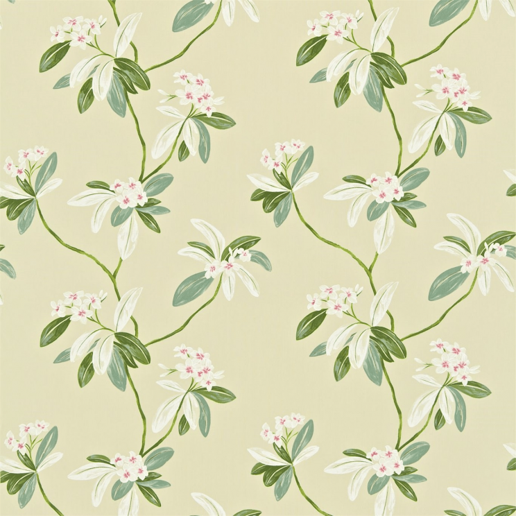 Sanderson Oleander Rose/Cream Fabric