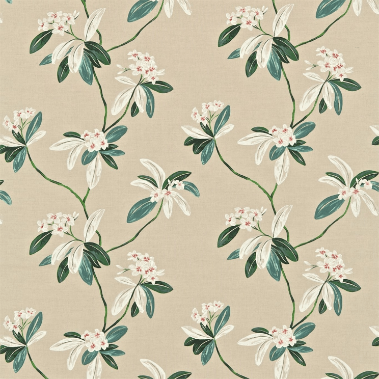 Sanderson Oleander Orange/Teal Fabric