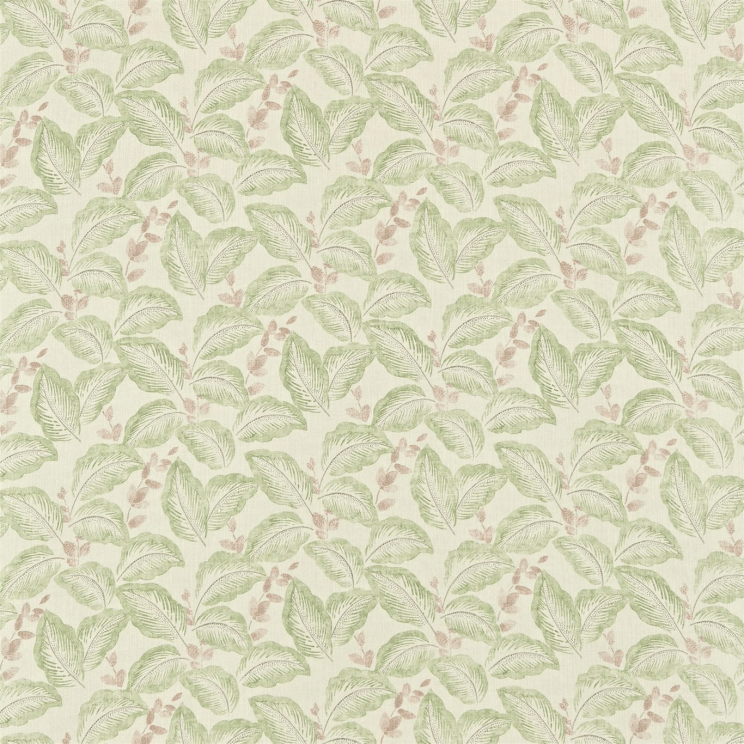 Sanderson Box Hill Moss/Cream Fabric