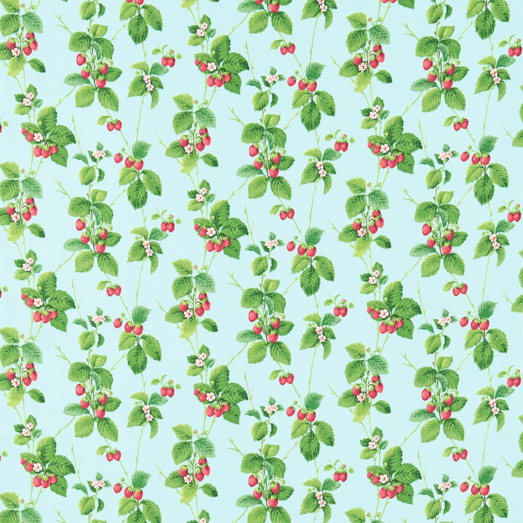 Sanderson Summer Strawberries Strawberry/Sky Fabric
