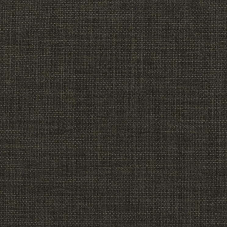 Curtains Clarke and Clarke Linoso II Charcoal Fabric F0453/04