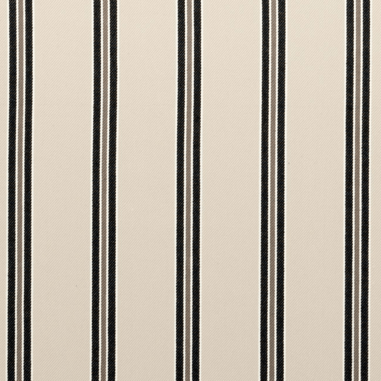 Curtains Clarke and Clarke Salinas Charcoal Fabric F0557/01
