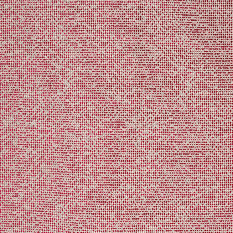 Clarke and Clarke Beauvoir Passion Fabric