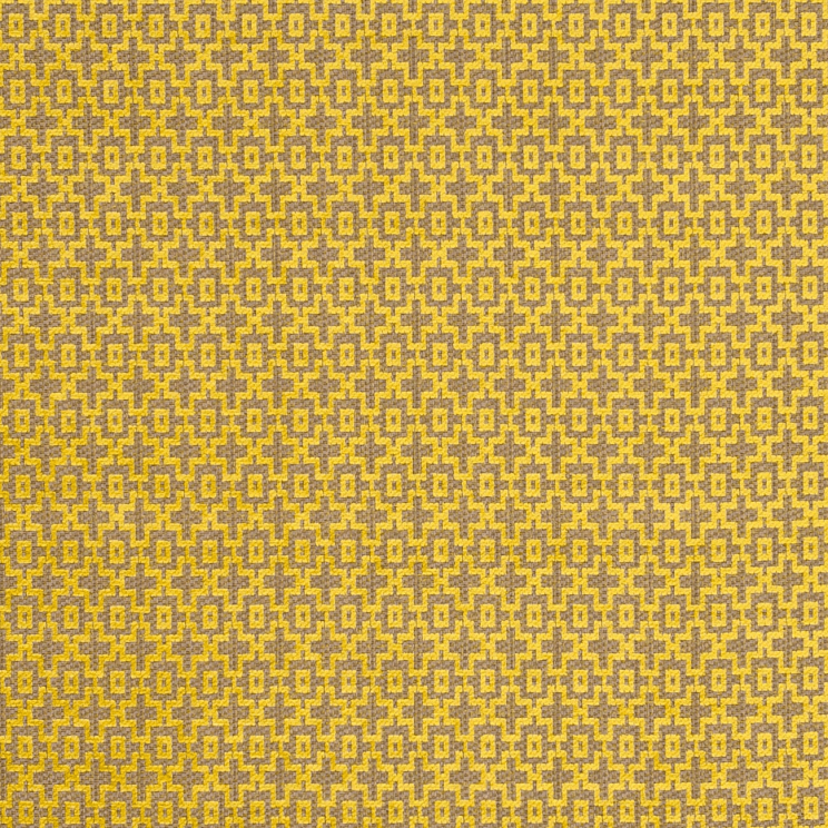 Curtains Clarke and Clarke Mansour Citrus Fabric F0807/02