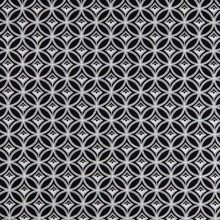 Curtains Clarke and Clarke BW1009 Black/White Fabric F0881/01