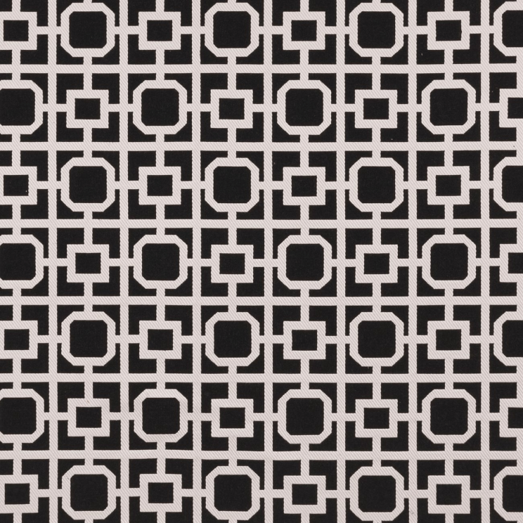 Curtains Clarke and Clarke BW1017 Black/White Fabric F0890/01