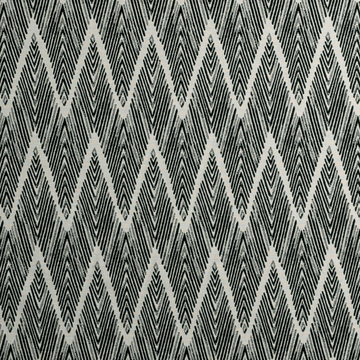 Curtains Clarke and Clarke BW1022 Black/White Fabric F0895/01