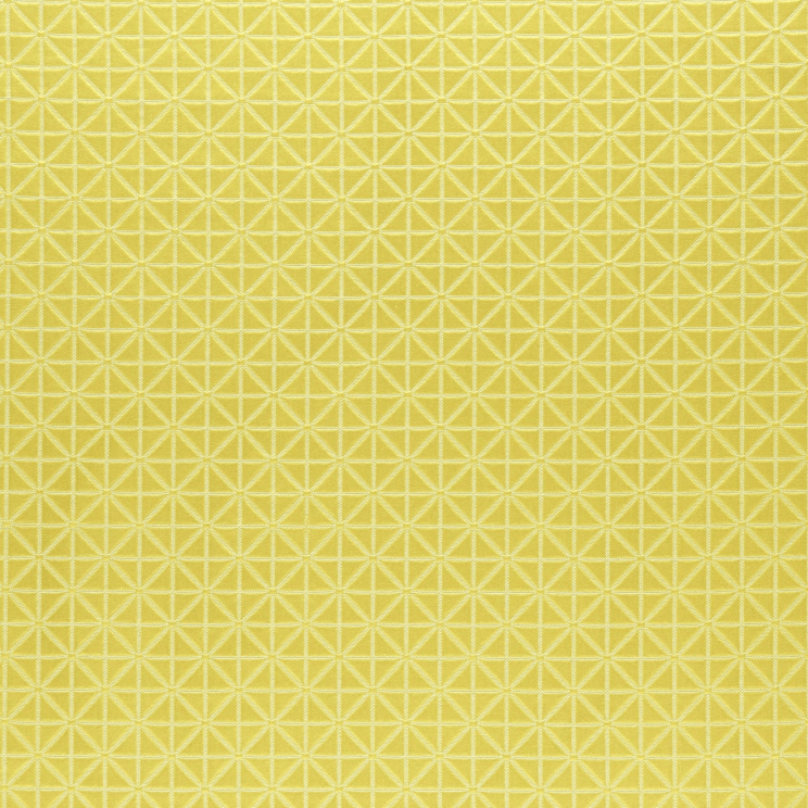 Roller Blinds Clarke and Clarke Sufi Chartreuse Fabric F0933/01