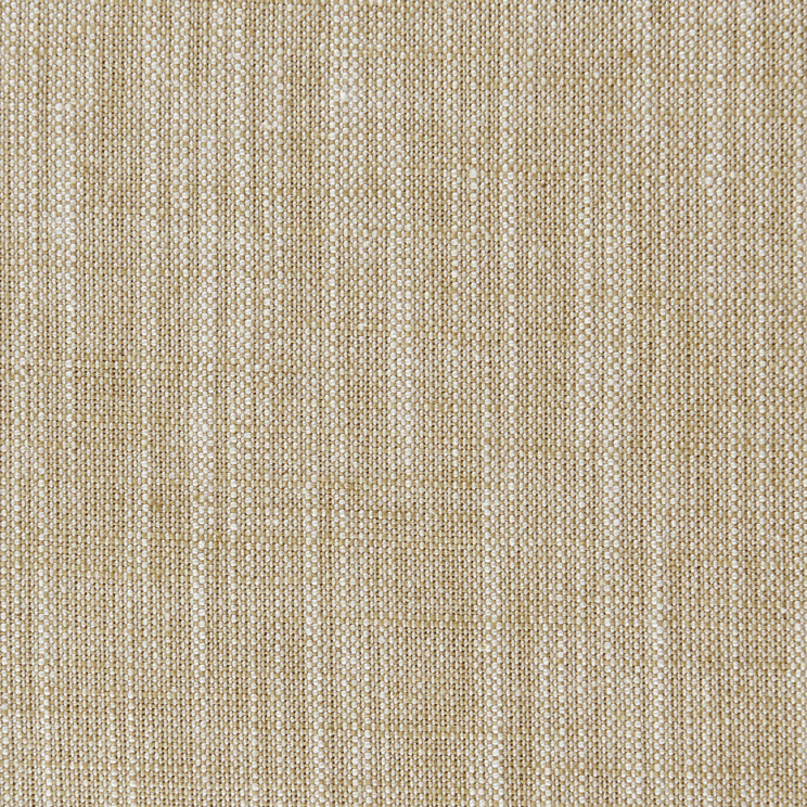 Curtains Clarke and Clarke Biarritz Bamboo Fabric F0965/04