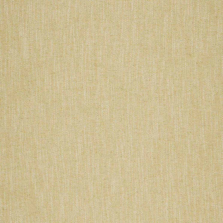 Roller Blinds Clarke and Clarke Chiasso Honey Fabric F0976/11
