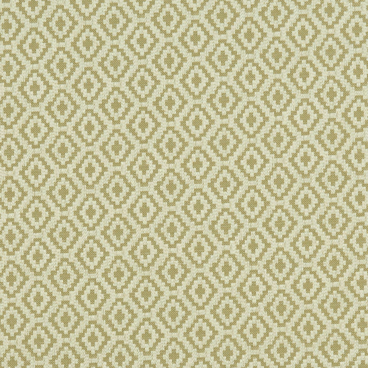 Roller Blinds Clarke and Clarke Keaton Olive Fabric F1045/04