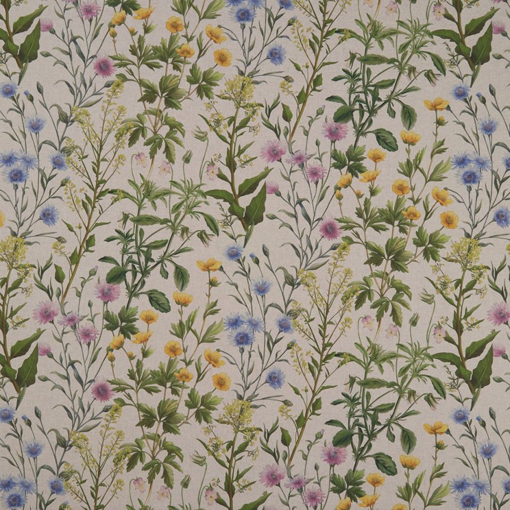 Curtains Clarke and Clarke Buttercup Fabric F1146/01
