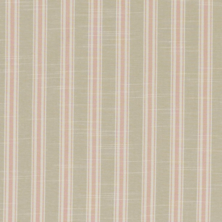 Curtains Clarke and Clarke Thornwick Fabric F1311/01