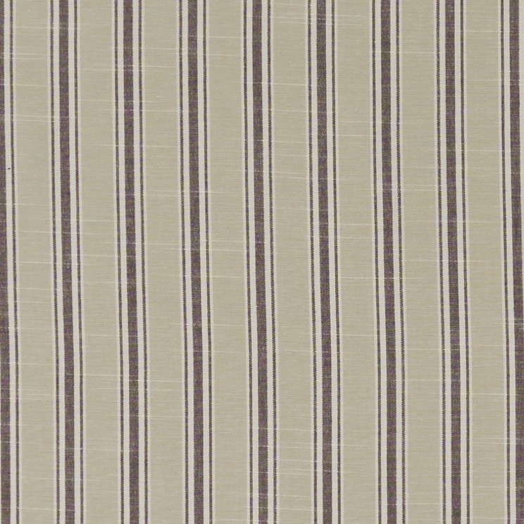 Curtains Clarke and Clarke Thornwick Fabric F1311/02