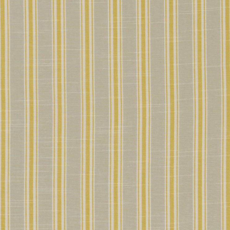 Curtains Clarke and Clarke Thornwick Fabric F1311/03