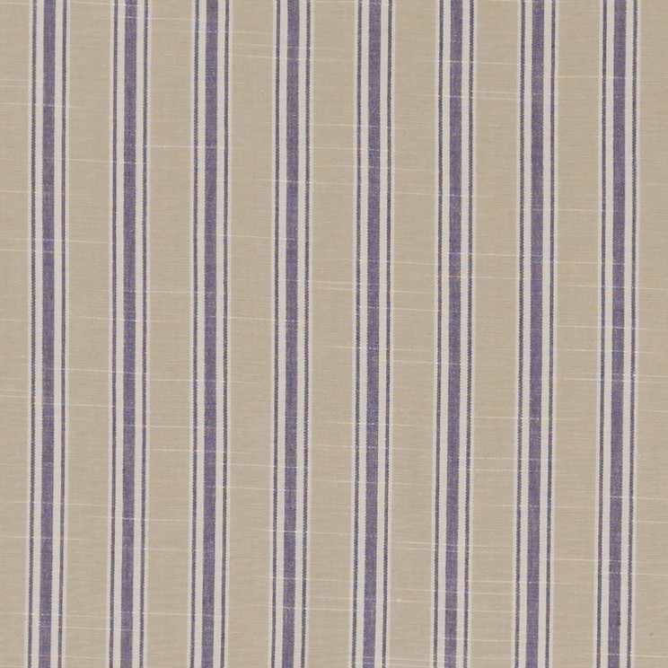 Curtains Clarke and Clarke Thornwick Fabric F1311/04