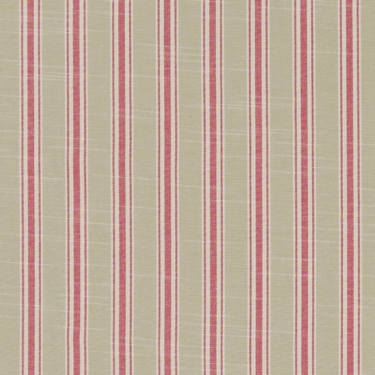 Curtains Clarke and Clarke Thornwick Fabric F1311/05
