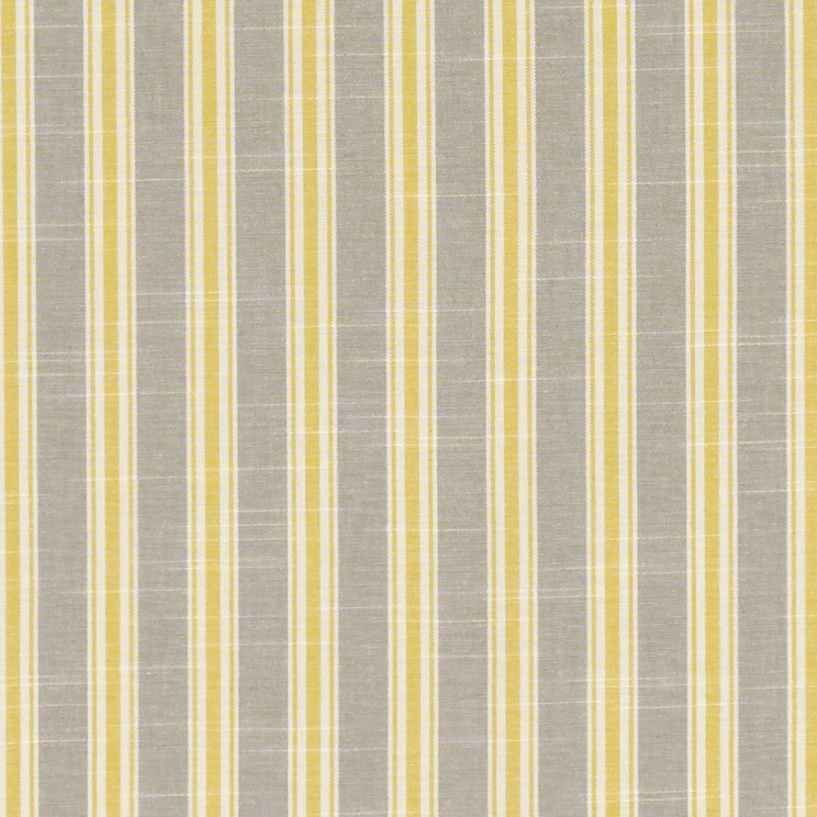 Curtains Clarke and Clarke Thornwick Fabric F1311/07