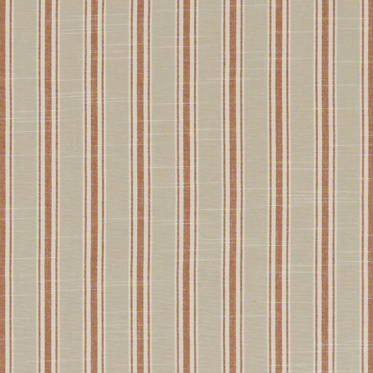 Curtains Clarke and Clarke Thornwick Fabric F1311/09