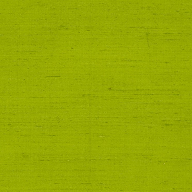 Clarke and Clarke Sylph Lime Fabric