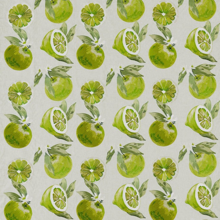 Clarke and Clarke Agrias Lime Fabric