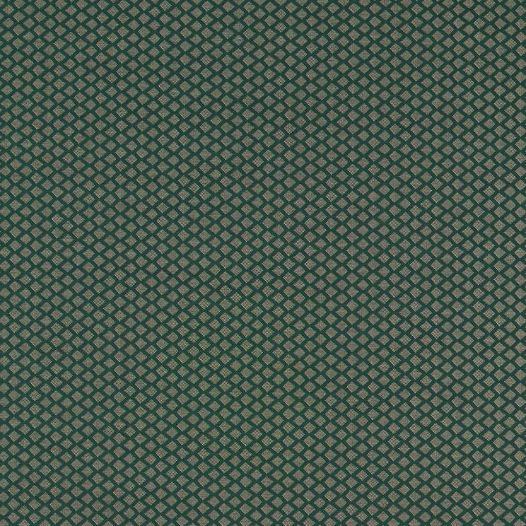 Clarke and Clarke Equator Forest Fabric
