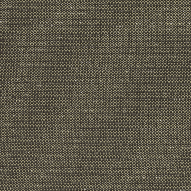 Curtains Clarke and Clarke Kauai Charcoal Fabric F1299/02