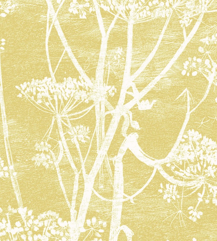 Roller Blinds Cole and Son Cow Parsley  Fabric F111/5020